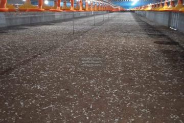 5 Bedroom House for sale in Pong Yang Khok, Lampang