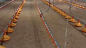 5 Bedroom House for sale in Pong Yang Khok, Lampang