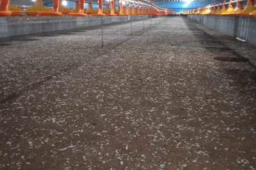 5 Bedroom House for sale in Pong Yang Khok, Lampang