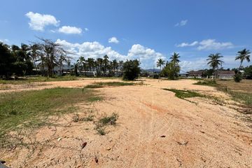 Land for sale in Mae Nam, Surat Thani