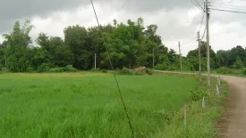Land for sale in Makham Sung, Phitsanulok