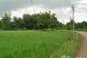 Land for sale in Makham Sung, Phitsanulok