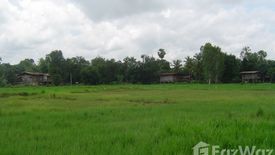 Land for sale in Makham Sung, Phitsanulok