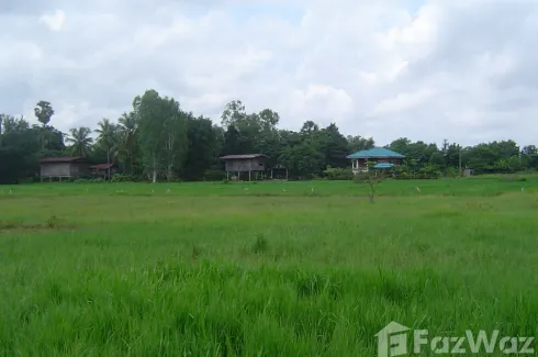 Land for sale in Makham Sung, Phitsanulok