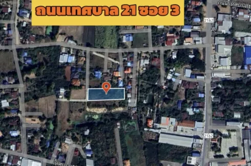 Land for sale in Chakkarat, Nakhon Ratchasima