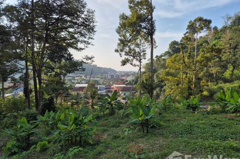 Land for sale in Kamala, Phuket