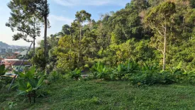 Land for sale in Kamala, Phuket
