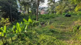 Land for sale in Kamala, Phuket