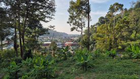 Land for sale in Kamala, Phuket