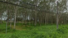 Land for sale in Pa Khlok, Phuket