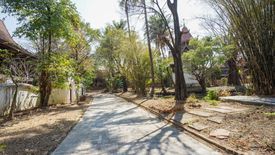 Hotel / Resort for sale in Tha Sala, Chiang Mai
