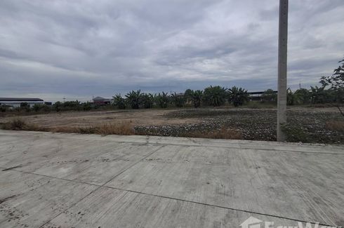 Land for sale in Pinthongland Factory Village, Lahan, Nonthaburi