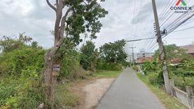1 Bedroom Land for sale in Cha am, Phetchaburi