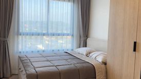 1 Bedroom Condo for rent in dcondo reef, Kathu, Phuket