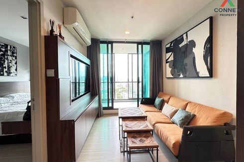 1 Bedroom Condo for rent in Life Sukhumvit 62, Bang Chak, Bangkok near BTS Bang Chak