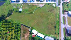 Land for sale in Khun Khong, Chiang Mai