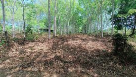 Land for sale in Si Sunthon, Phuket