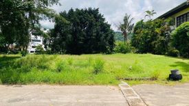 Land for sale in Baan Prangthong, Wichit, Phuket
