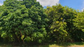 Land for sale in Yu Wa, Chiang Mai