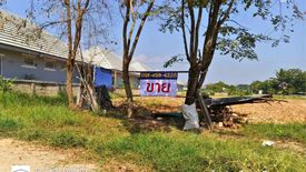 Land for sale in Ban Du, Chiang Rai