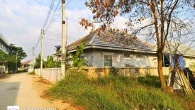 Land for sale in Ban Du, Chiang Rai