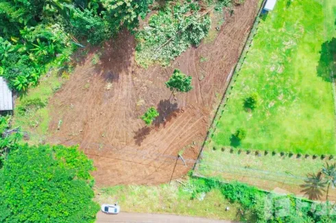 Land for sale in Ping Khong, Chiang Mai