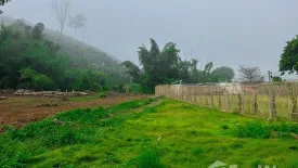 Land for sale in Ping Khong, Chiang Mai