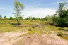 Land for sale in Ko Siboya, Krabi