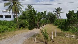 Land for sale in Thong Chai, Prachuap Khiri Khan