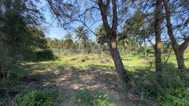 Land for sale in Mae Ramphueng, Prachuap Khiri Khan
