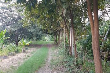 Land for sale in Bo Ngoen, Pathum Thani