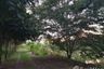 Land for sale in Bo Ngoen, Pathum Thani