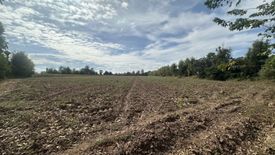 Land for sale in Bueng O, Nakhon Ratchasima