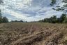 Land for sale in Bueng O, Nakhon Ratchasima