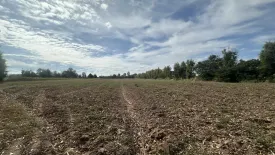 Land for sale in Bueng O, Nakhon Ratchasima