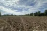 Land for sale in Bueng O, Nakhon Ratchasima