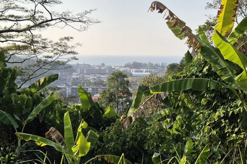 Land for sale in Kamala, Phuket