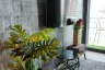 1 Bedroom Condo for sale in Ashton Silom, Suriyawong, Bangkok near BTS Chong Nonsi