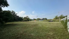 Land for sale in Huai Sai, Chiang Mai