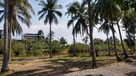 Land for sale in Bo Nok, Prachuap Khiri Khan