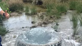 Land for sale in Huai Nam Khao, Krabi