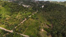 Land for sale in Mae Nam, Surat Thani