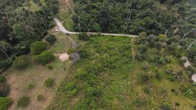 Land for sale in Mae Nam, Surat Thani