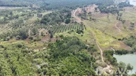 Land for sale in Bang Muang, Phang Nga