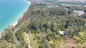 Land for sale in Bang Muang, Phang Nga