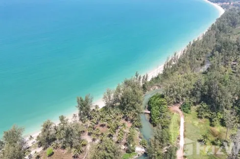 Land for sale in Bang Muang, Phang Nga