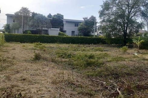 Land for sale in Bo Phut, Surat Thani