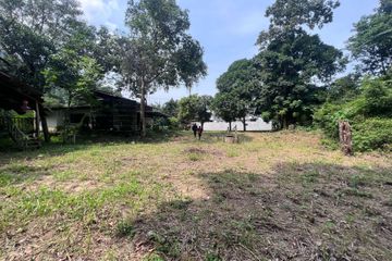 Land for sale in Mae Nam, Surat Thani