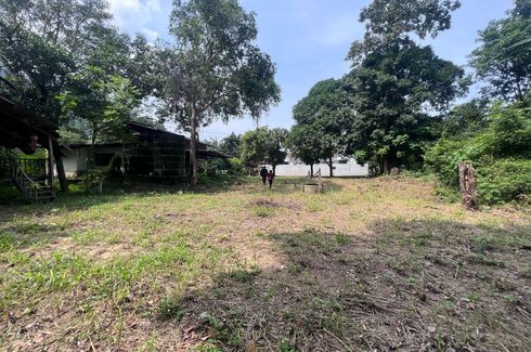 Land for sale in Mae Nam, Surat Thani
