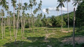 Land for sale in Mae Nam, Surat Thani